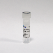 Антитела очищенные против HLA-DR человека, 0,1 мг, VDO Biotech (QuantoBio)