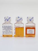 Среда "Лимфоген", 50 мл, ЕвроПЭТ