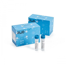 Набор для магнитной сепарации клеток CD45+ (мышь), RWD