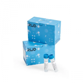 Набор для магнитной сепарации клеток CD19+ (мышь), RWD 