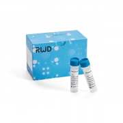 Набор для магнитной сепарации клеток CD11b+ (Микроглия), RWD 