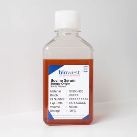 Сыворотка крови крупного рогатого скота, 100 мл, Biowest