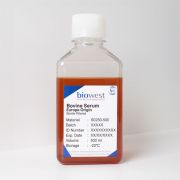 Сыворотка крови крупного рогатого скота, 100 мл, Biowest