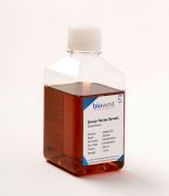 Сыворотка крови лошади без консерванта донорская 500 мл