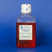 Питательная среда ИГЛА МЕМ, с глутамином, 500 мл ЕвроПЭТ