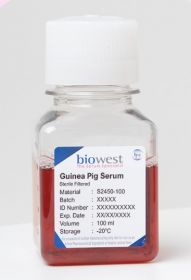 Сыворотка крови морской свинки, 500 мл, Biowest