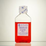 Среда DMEM/F-12, без глутамина