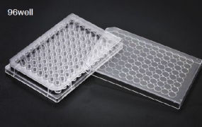 Планшет 96-луночный с V-образным дном, SPL Lifesciences