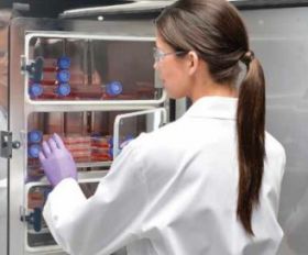 3-секционная внутренняя дверь для CO₂-инкубатора D165H/D165HT,  RWD Life Science