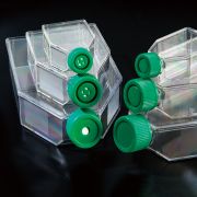 Флакон культуральный, 75 см², стерильный, с вентилируемой крышкой, обработанная поверхность, SPL