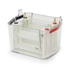 Камера для вертикального электрофореза SVE-4, 4 геля, 83х73 мм, Servicebio