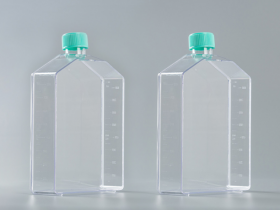 Флакон для культивирования клеток 300 см2, Jet Biofil