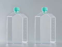 Флакон для культивирования клеток 300 см2, Jet Biofil