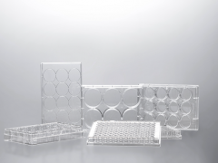 Планшет для культивирования клеток 1-луночный, обработанная поверхность, Jet Biofil