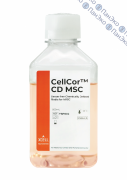 CellCor™ CD MSC химически определенная бессывороточная среда для мезенхимальных стволовых клеток человека, 500 мл, XCELL
